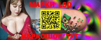 стафф Лесосибирск