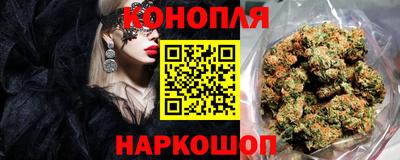прущие грибы Ливны
