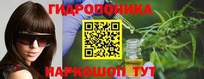 стафф Лесосибирск