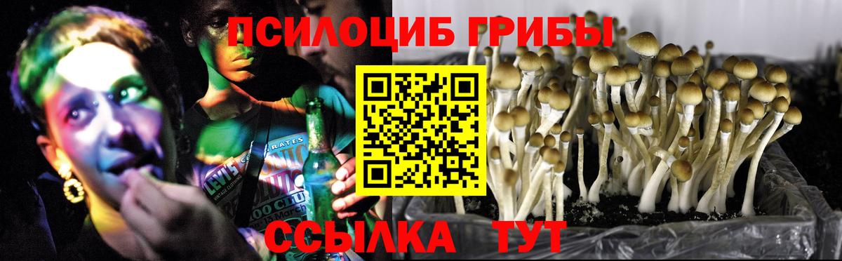 Псилоцибиновые грибы прущие грибы Вятские Поляны